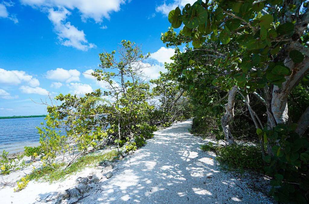 Isla Anna María, Florida, para tortugas marinas y manatíes