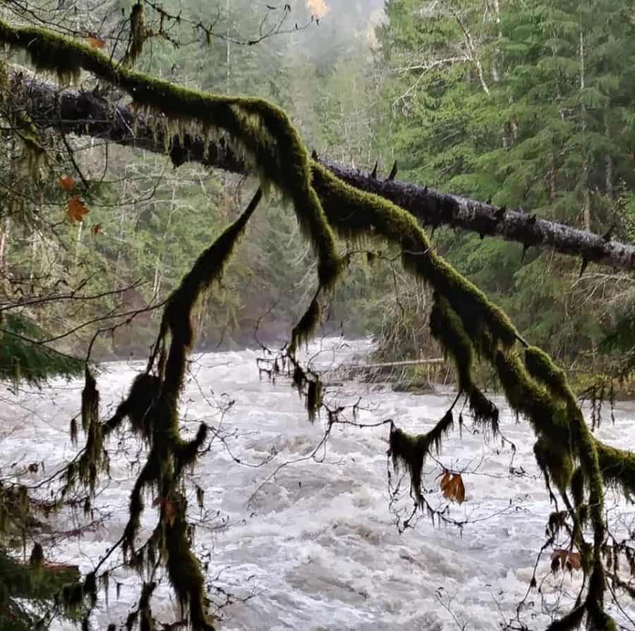Sendero de la curva de herradura