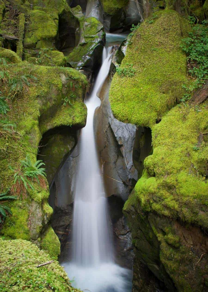 Sendero de las cataratas Ladder Creek