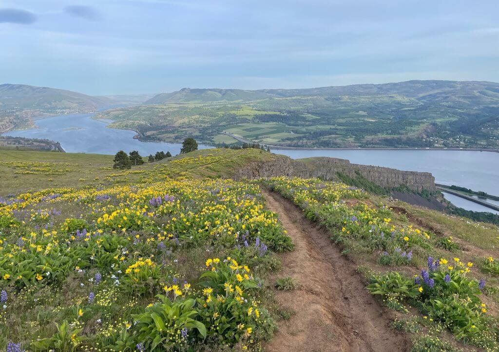 Mejores Lugares para Visitar en Abril en EE.UU Portland, Oregón, para Columbia Gorge