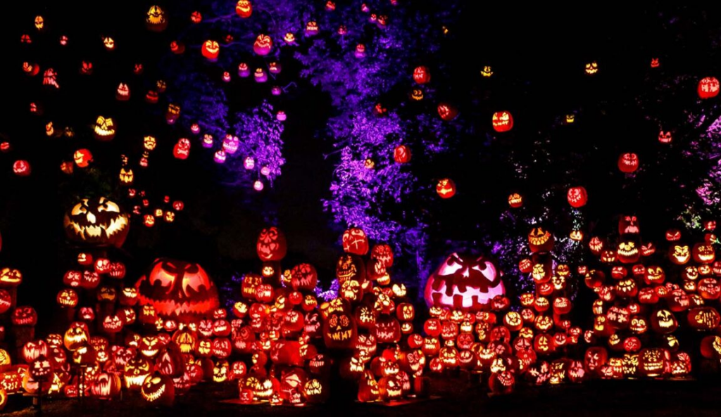 Asista al espectáculo Jack-O-Lantern Spectacular del zoológico Roger Williams Park