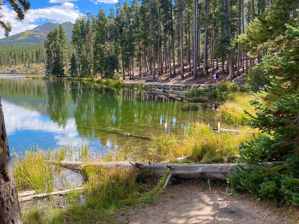Parque Nacional de las Montañas Rocosas, CO para la vida silvestre