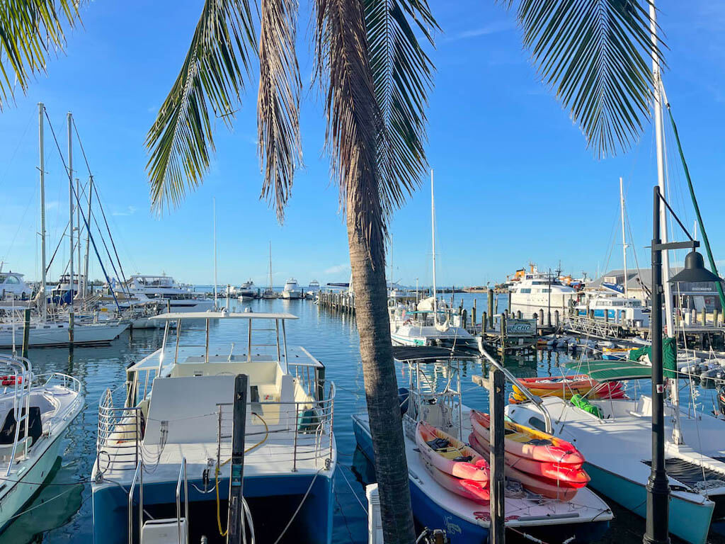 Mejores Lugares para Visitar en Junio en EE.UU Key West, FL para buceo y snorkel
