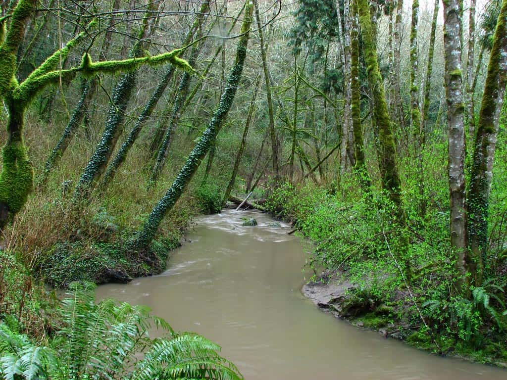 Circuito del triple puente de Tryon Creek