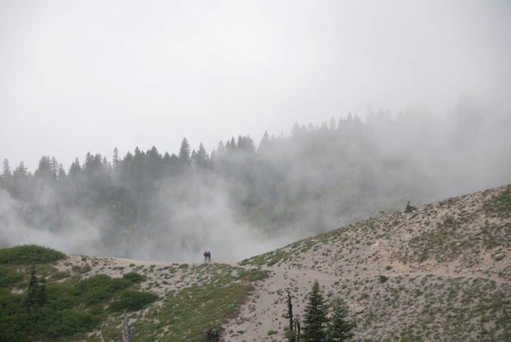 Sendero de la línea de madera