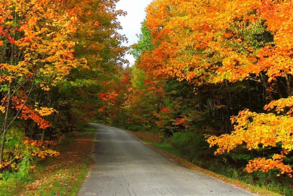 Lugares para Visitar en Octubre en EE.UU 
 Bennington, Vermont