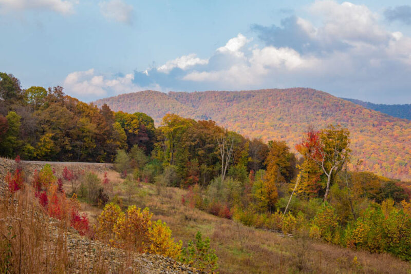 Haga una caminata en Ozark-St. Bosque Nacional Francisco