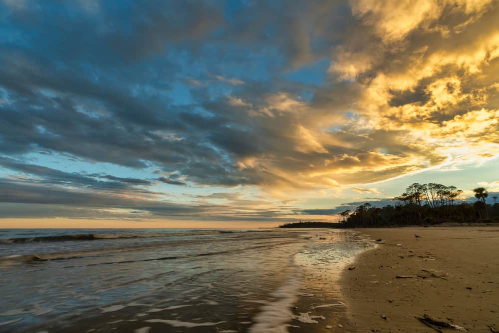 Mejores Lugares para Visitar en Enero en EE.UU Hunting Island State Park, Carolina del Sur