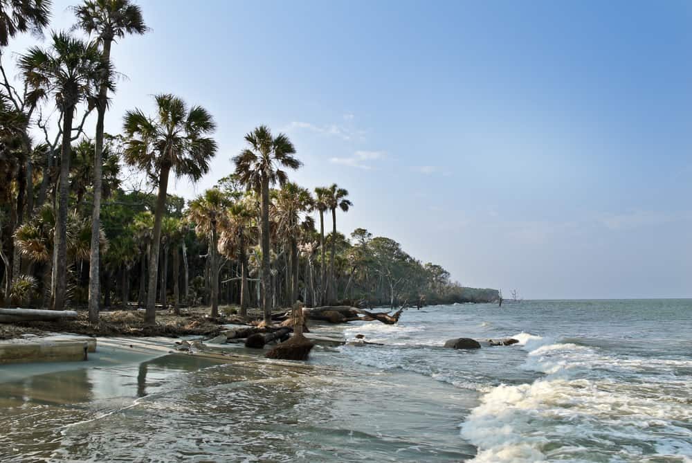 Hunting Island State Park, Carolina del Sur