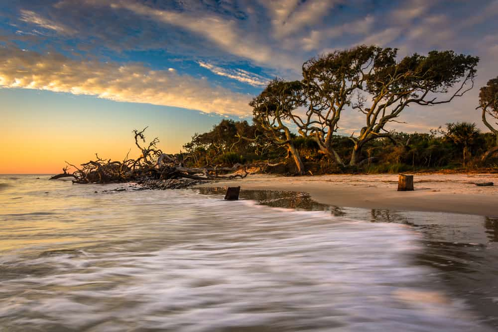 Brunswick y Golden Isles, Georgia