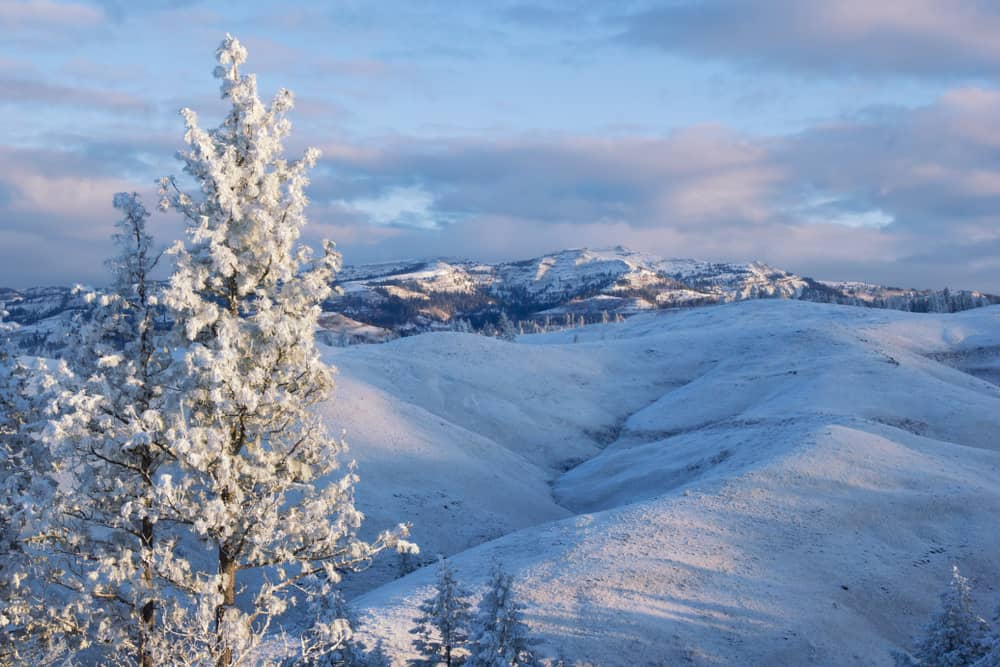 Bosque Nacional Payette, Idaho