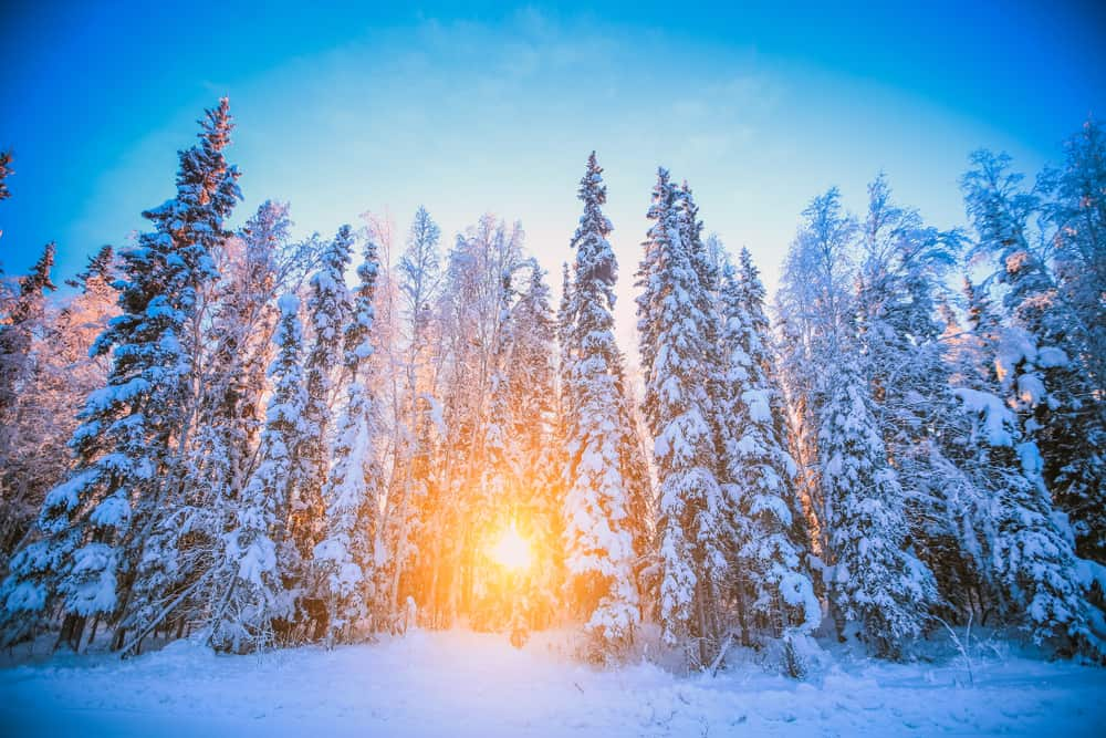Fairbanks, Alaska: oportunidad de ver la aurora boreal