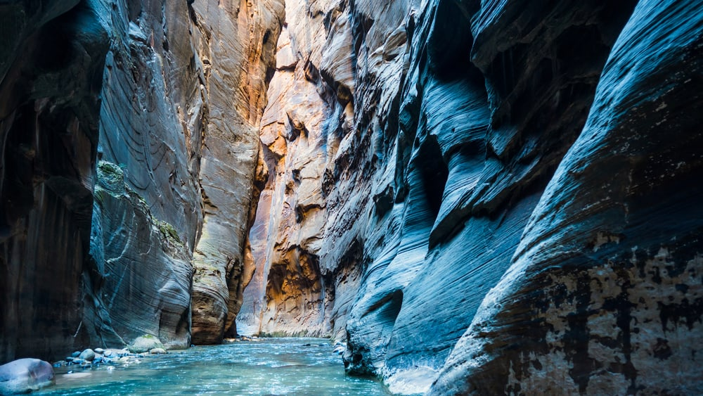 Disfrute de la soledad en el Parque Nacional Zion, Utah