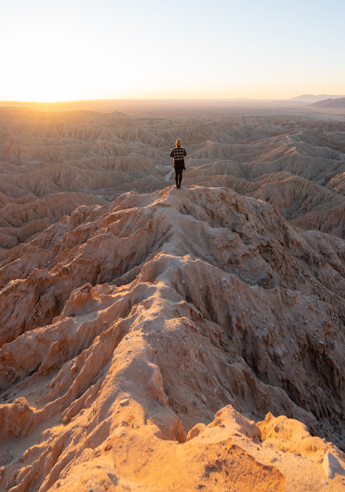 Parque Estatal del Desierto de Anza-Borrego, California