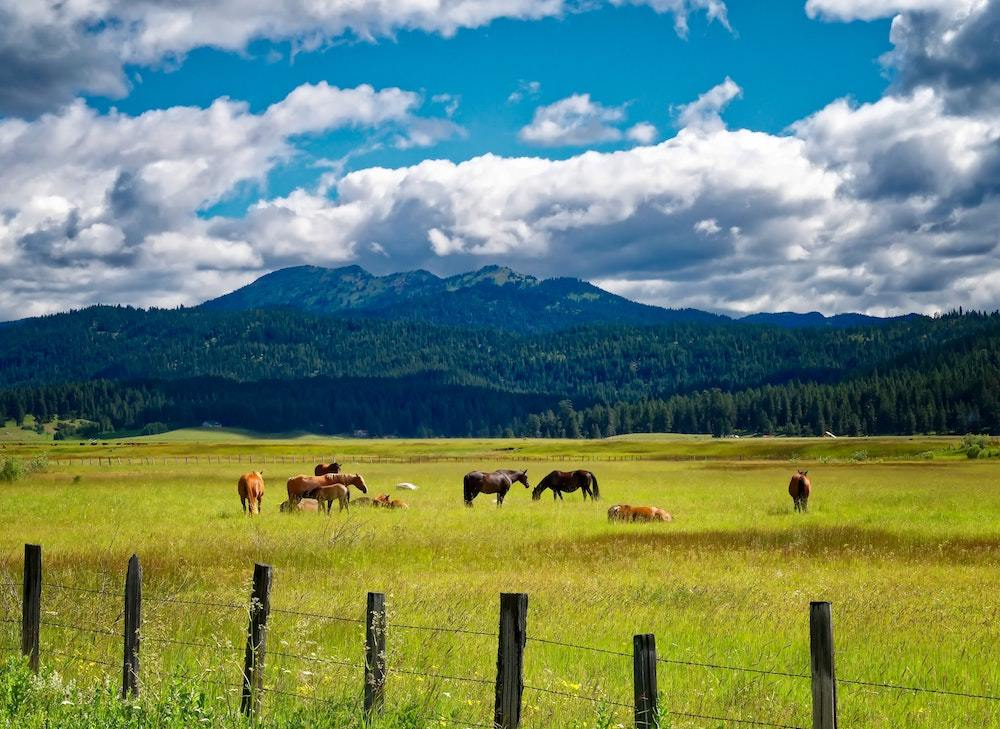 Mejores Lugares para Visitar en Junio en EE.UU McCall, Idaho