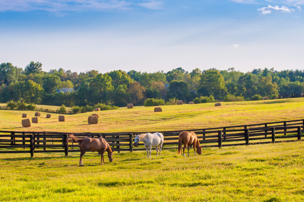 Mejores Lugares para Visitar en Julio en EE.UU Lexington, Kentucky