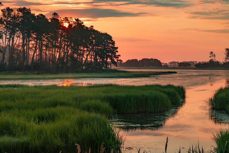 Mejores Lugares para Visitar en Julio en EE.UU Chincoteague