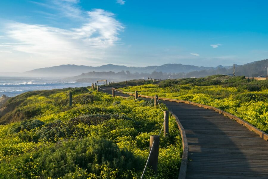 Mejores Lugares para Visitar en Julio en EE.UU Cambria