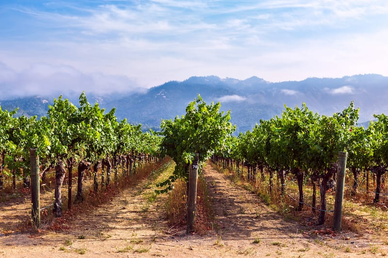 Mejores Lugares para Visitar en Julio en EE.UU Valle de Sonoma