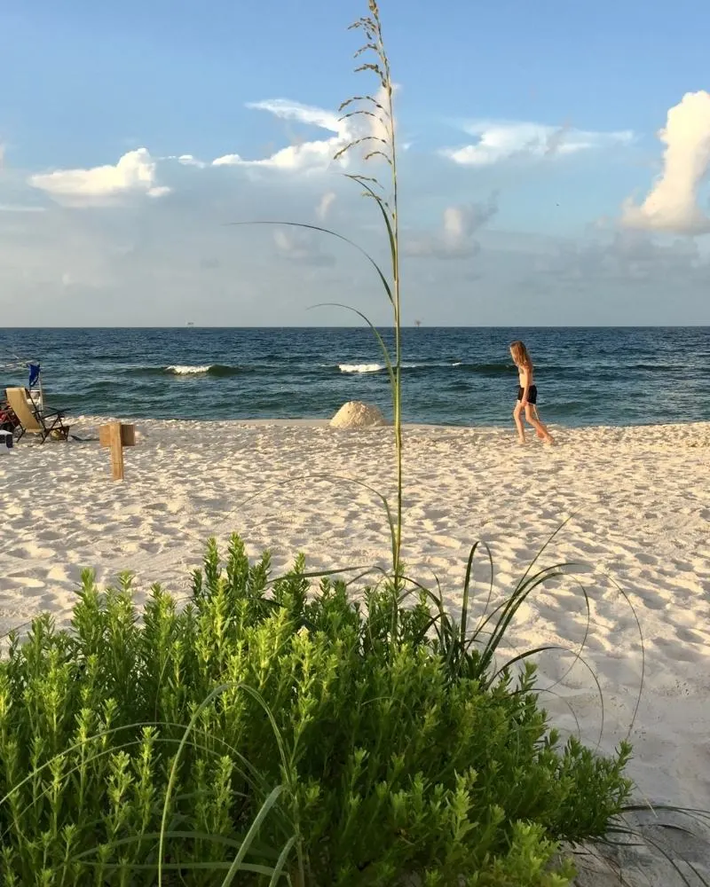 Mejores Lugares para Visitar en Julio en EE.UU Isla Dauphin, Alabama