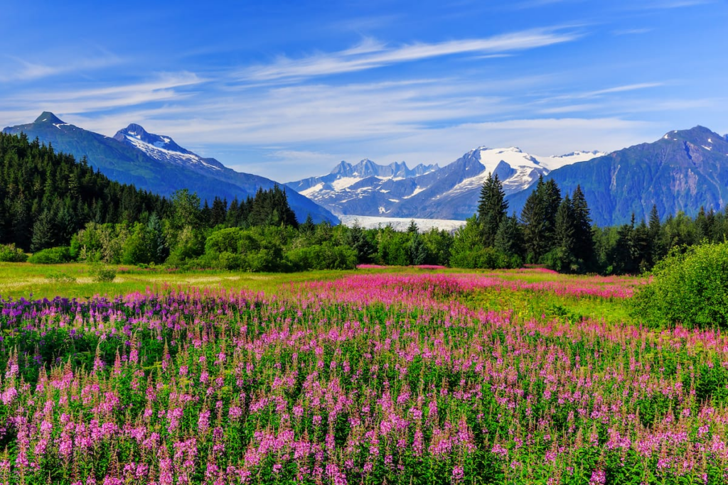 Mejores Lugares para Visitar en Agosto en EE.UU Juneau
