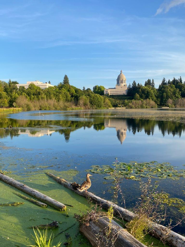 Mejores Lugares para Visitar en Agosto en EE.UU Olympia, Washington