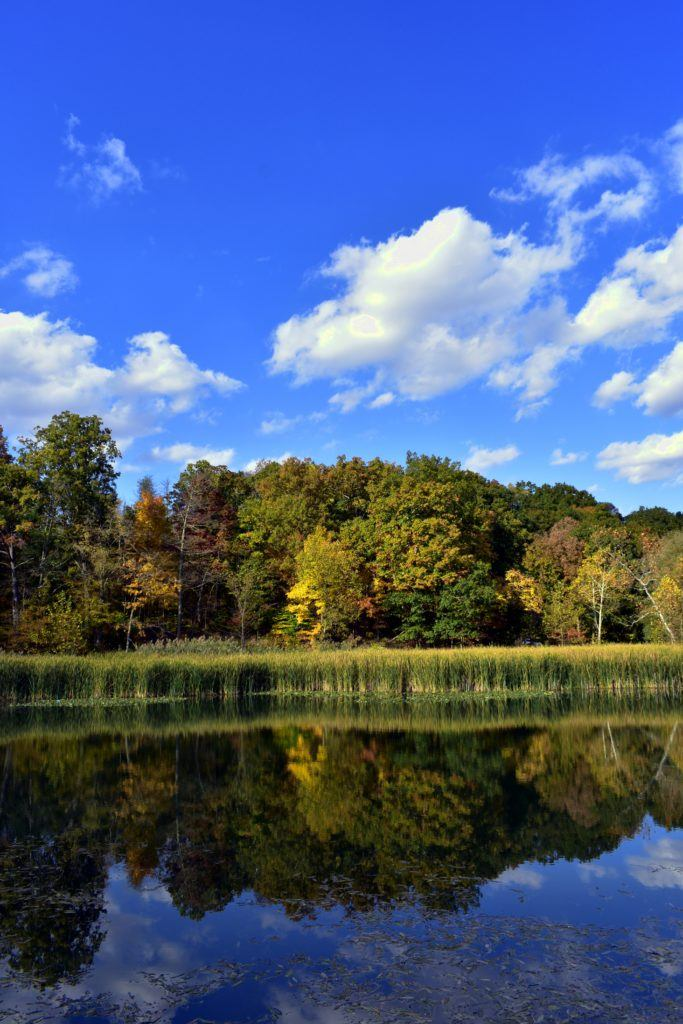 Mejores Lugares para Visitar en Agosto en EE.UU Parque Nacional del Valle de Cuyahoga, Ohio