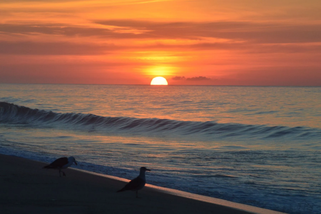 Mejores Lugares para Visitar en Septiembre en EE.UU Los Hamptons, Estado De Nueva York 