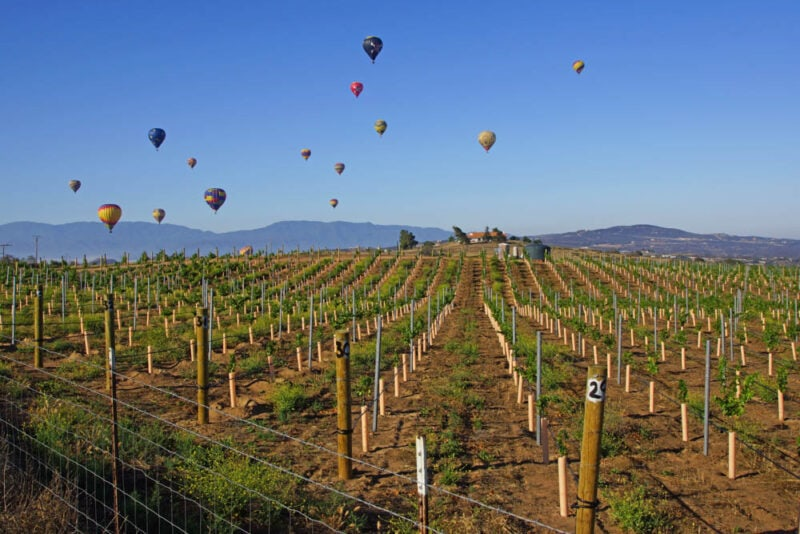 Mejores Lugares para Visitar en Septiembre en EE.UU Temecula Valley, California