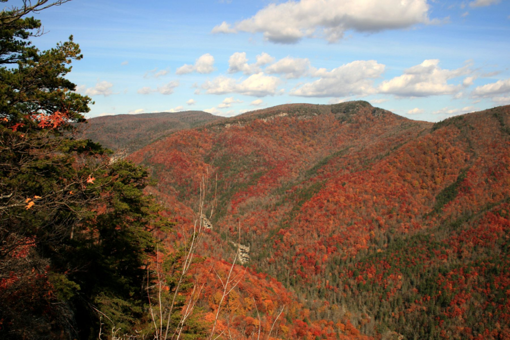 Lugares para Visitar en Octubre en EE.UU Blue Ridge Parkway
