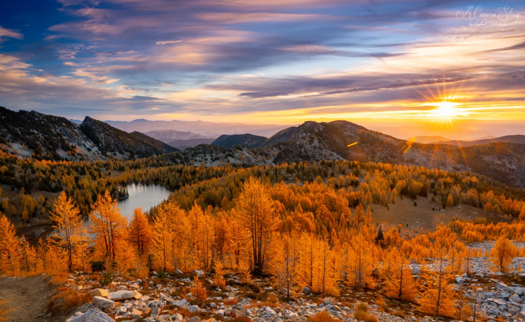 Bosque Nacional Okanogan-Wenatchee, Washington