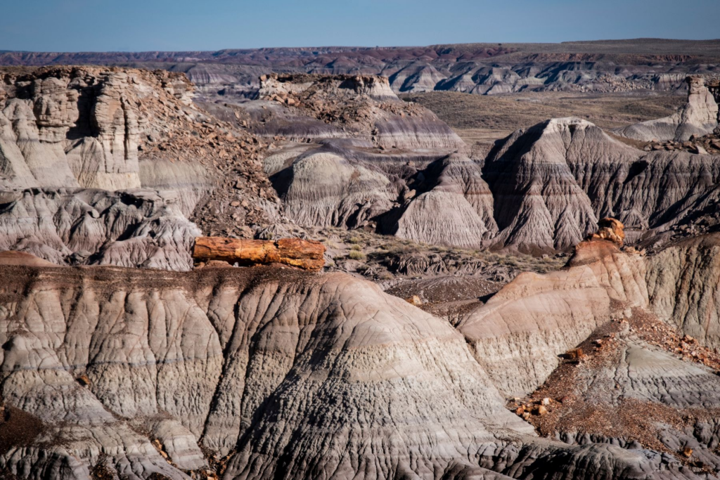 Lugares para Visitar en Octubre en EE.UU Parque Nacional Del Bosque Petrificado, Arizona