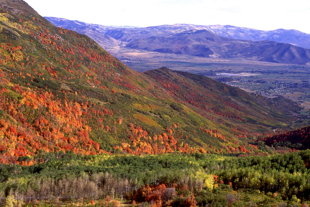 Ruta Panorámica Del Cañón Logan, Utah