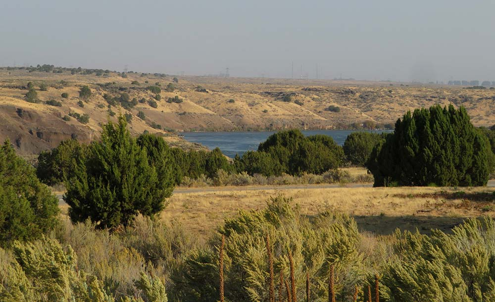 acampar en el lago Idaho Willow Bay Resort