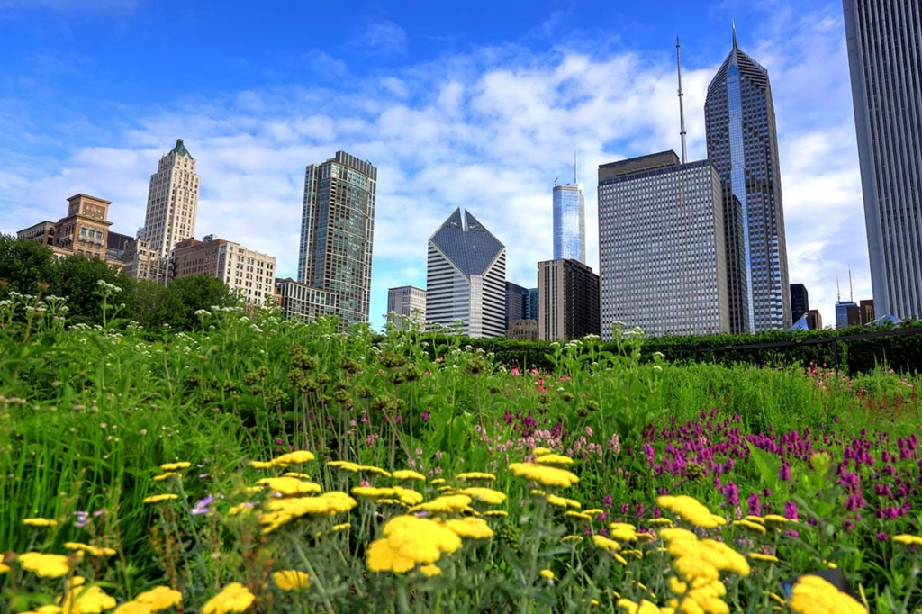Chicago, Illinois
