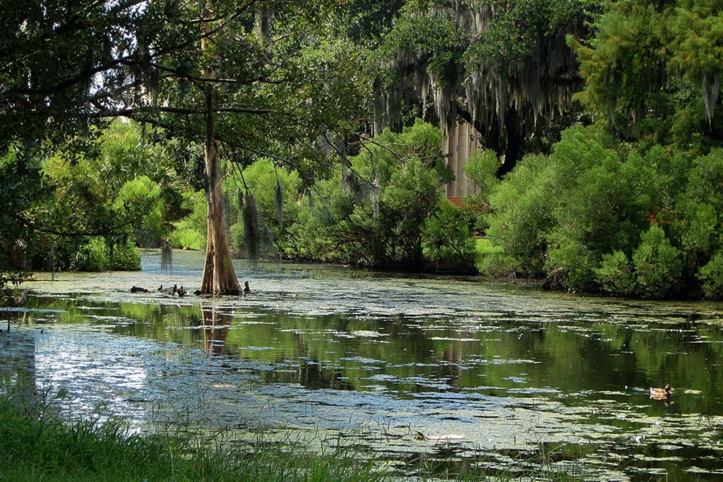 Actividades gratuitas para disfrutar en Nueva Orleans Naturaleza