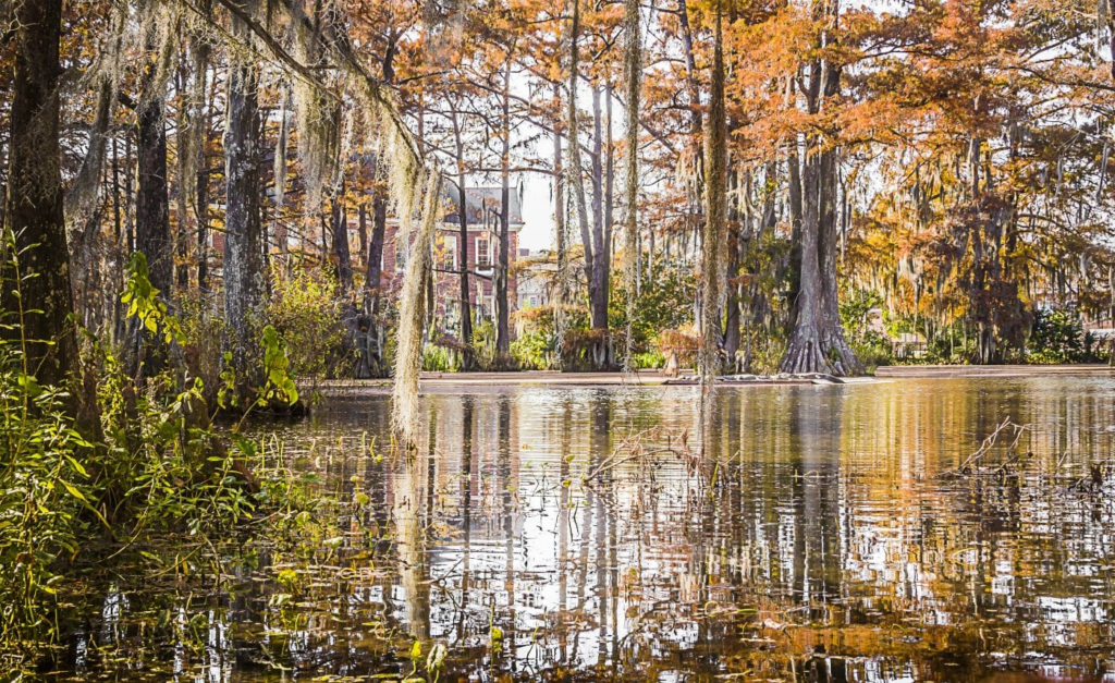 Viajes de fin de semana por carretera desde Nueva Orleans 
Lafayette, Luisiana