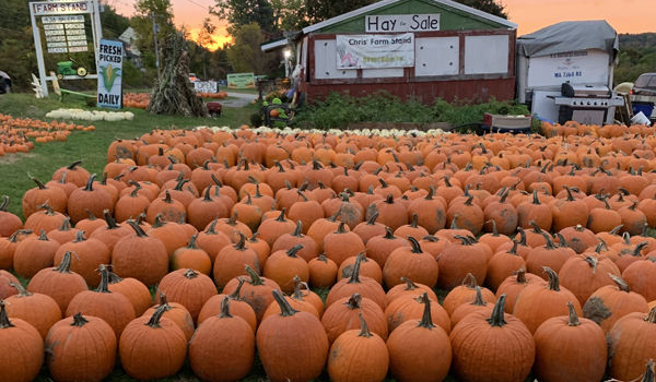 Festivales de Calabazas en Massachusetts Haverhill