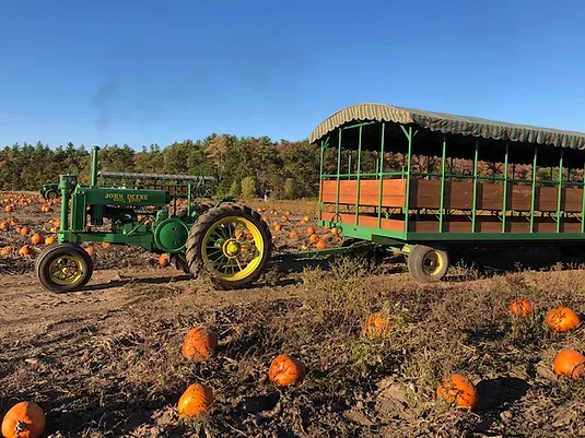 Festivales de Calabazas en Massachusetts Plympton