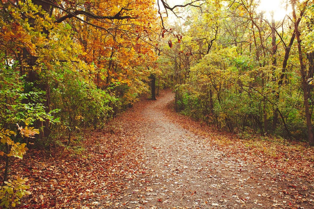 Programa de caminatas 30/30 de los parques del condado de St. Louis