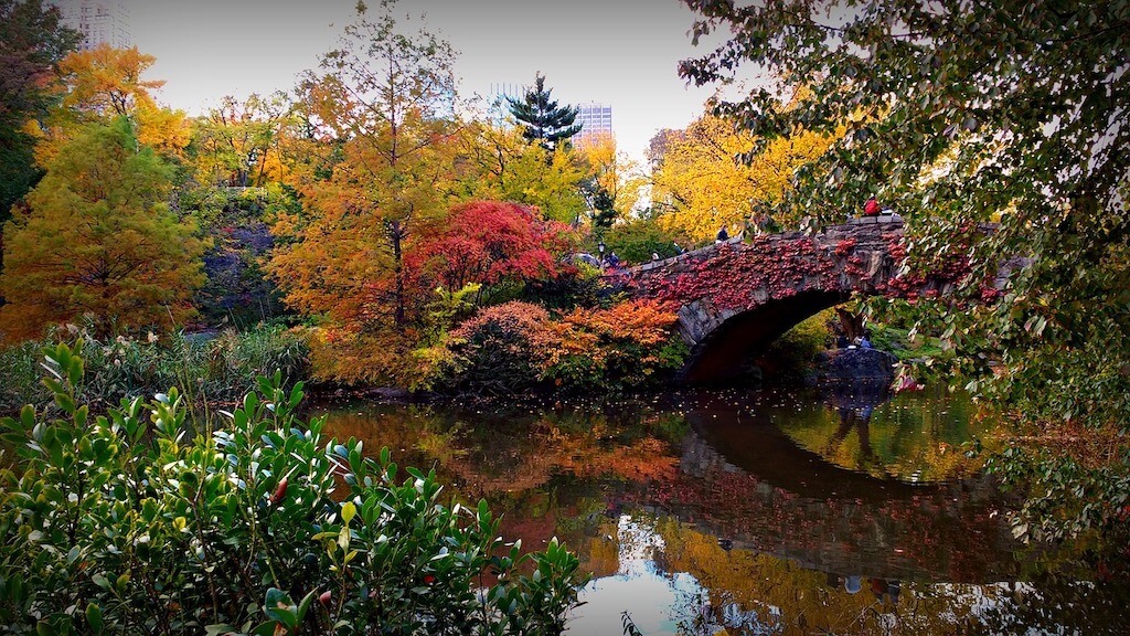 Mejores Lugares para Visitar en Noviembre Nueva York para el desfile del Día de Macy's