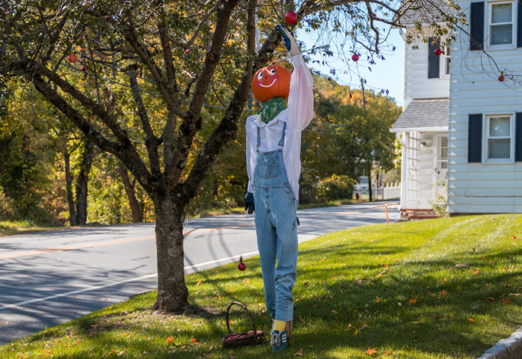 competencia de Halloween en Nueva Jersey Te hará sonreír
