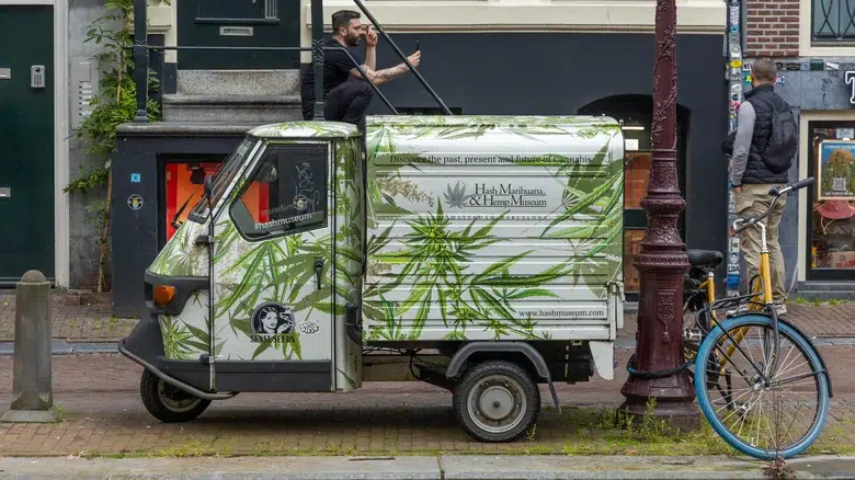 marihuana en el museo de cannabis más antigua