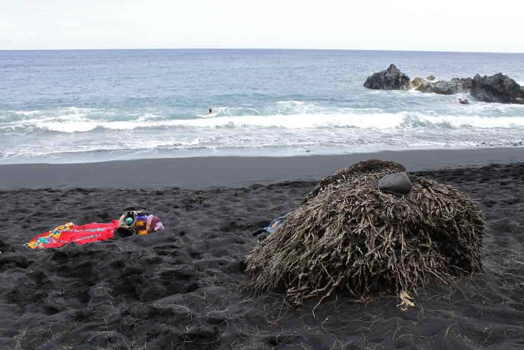 playas nudistas Playa Kehena Puna Hawái