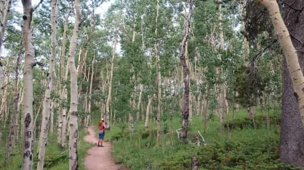 sendero colorado-Destinos para Mochileros en Colorado