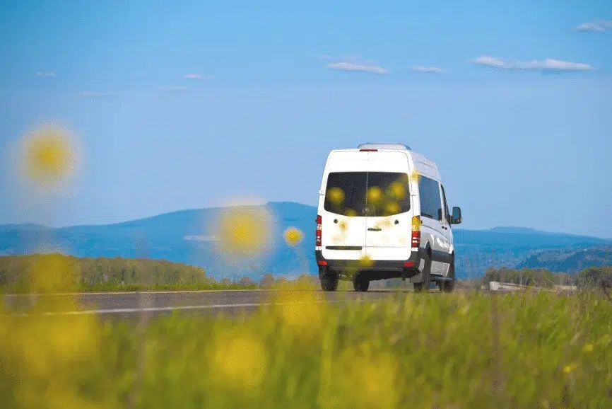 vida en la isla mexico