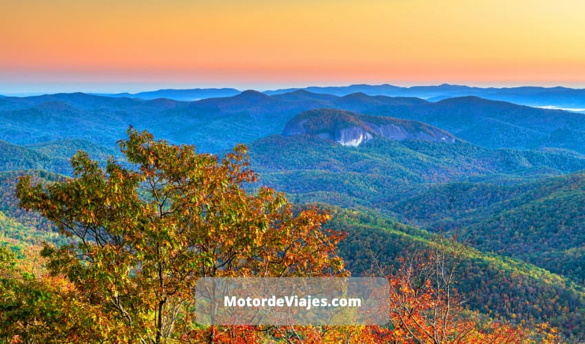 9 Actividades en el Bosque Nacional Pisgah De Carolina Del Norte