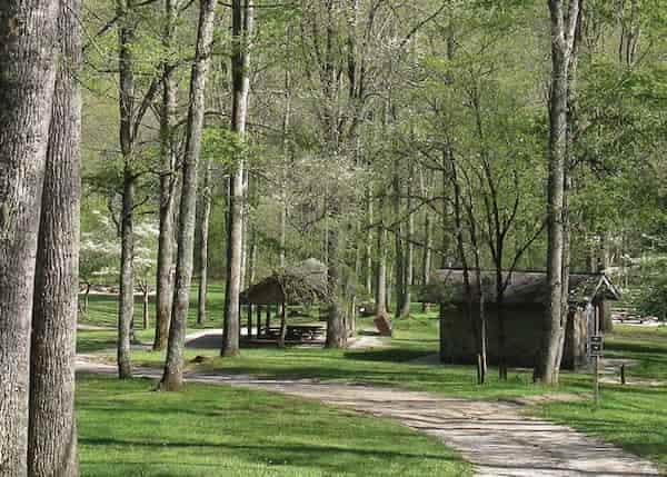 Appletree-Group-Campground-1 8 Lugares para Acampar en el Bosque Nacional Nantahala