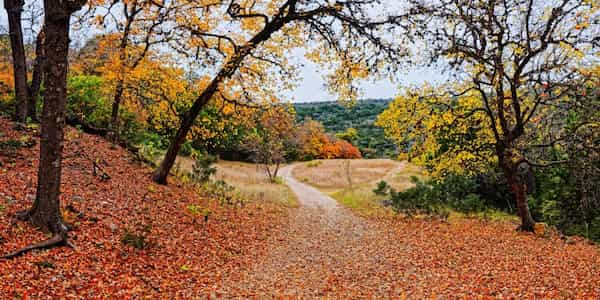 Area-natural-estatal-Lost-Maples-1 10 Viajes por Carretera desde San Antonio, Texas