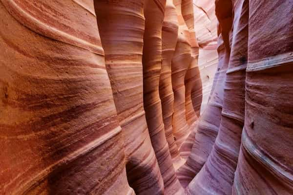 Asombrese-con-Zebra-Slot-Canyon 10 Magníficas Cosas para Hacer en Escalante, Utah